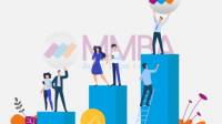 Startup Accountants