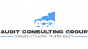 Audit Consulting Group