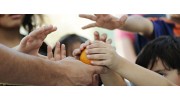 Not For Profit Organisations and Charities