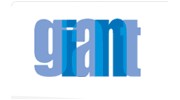Giant Group PLC