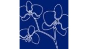 Blue Orchid Accounting Solutions