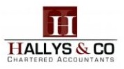 Hallys & Co Chartered Accountants